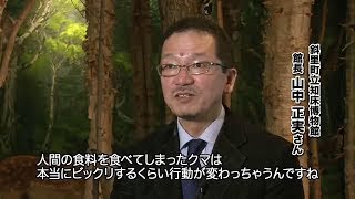 ～ヒグマにエサをやらないで～ ソーセージの悲しい最期 知床ヒグマえさやり禁止キャンペーン企画映像 [upl. by Ynoyrb]