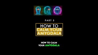 How to calm the amygdala [upl. by Benia]