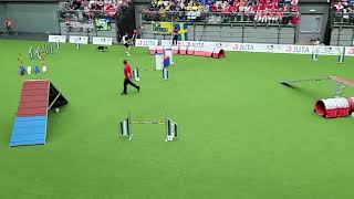 CEED Tobias Wust DEU Agility Large Individual FCI AWC 2022 [upl. by Aihseya]