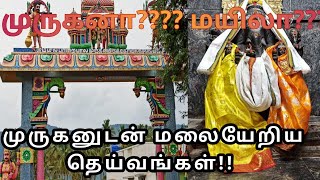 மயில்பாறை முருகன் கோவில் திருப்பத்தூர்  Tirupattur Mailparai Murugan Kovil  MURUGAN TEMPLE [upl. by Torrie153]