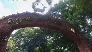 😱RS 20 போதும் 🔥Guindy national park chennai  Tamil 2024 [upl. by Tatiania]