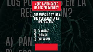 Que tanto sabes de los pulmones cuerpo pulmones pregunta preguntasyrespuestas pulmonar quiz [upl. by Nosila]