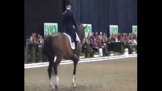 Hubertus Schmidt amp Hedelunds Mefisto  KKCup Münster 2014  Warm Up  Prüfung [upl. by Levania]