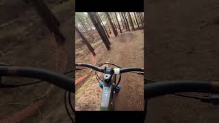 MTB💥Almost HIT the TREE mtb bikepark mtbbike mtblife downhill trail trails bike cycle [upl. by Aisan772]