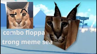 Combo floppa mạnh nhất trong meme sea [upl. by Nuri]