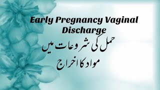 EARLY PREGNANCY DISCHARGE SIGNS SYMPTOMS CAUSES AND FACTORS  EARLY PREGNANCY DISCHARGE COLOR [upl. by Rema]