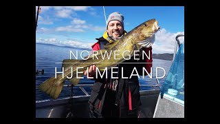 ANGELN IN SÜDNORWEGEN 1 HJELMELAND 2018 NORWEGEN OMBO  FISHING IN SOUTHNORWAY NORWAY URLAUB [upl. by Anilek]