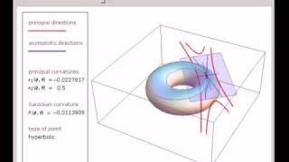 Dupins Indicatrix of a Torus [upl. by Inaboy]