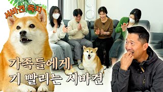 미친텐션 가족 사이에 낀 강형욱 안고독한 훈련사 EP4 [upl. by Lorrac920]