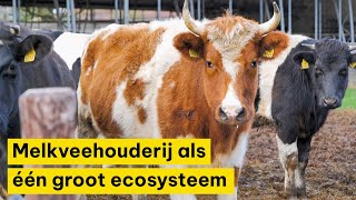 Melkveehouderij als één groot ecosysteem  Ekoland Innovatieprijs 2024 [upl. by Atiram]