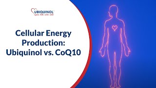 Cellular Energy Production Ubiquinol vs CoQ10 [upl. by Asle]