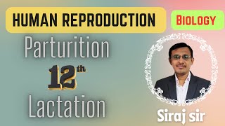 Parturition and Lactation class 12Delivery of foetusDevelopment of mammary gland [upl. by Jeffery]