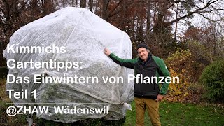 Kimmichs Gartentipps Das Einwintern von Pflanzen Teil 1 ZHAW Wädenswil [upl. by Denae]