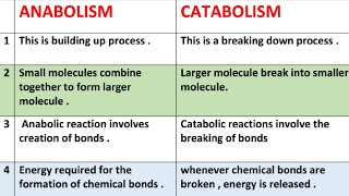 Difference between anabolism and catabolism  anabolism vs catabolism [upl. by Lucic]