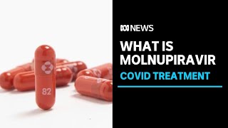 What is molnupiravir and how does it work to treat COVID19  ABC News [upl. by Iloj]