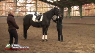 School Of Legerete Dressage training [upl. by Oicatsana]