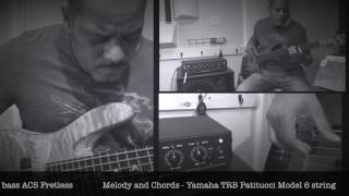 Trickfish Amplification Bullhead 5K  Ernest Tibbs Demo [upl. by Lolita]