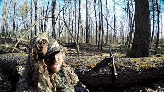 Chasse au dindon sauvage printemps 2016 Spring Wild Turkey Hunting [upl. by Sirret968]