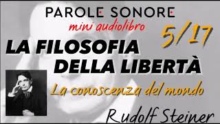 Rudolf Steiner  MINI AUDIOLIBRO 517  LA FILOSOFIA DELLA LIBERTA  Parole Sonore [upl. by Saravat]