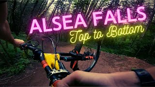 All the best Alsea Falls Trails in One Run [upl. by Ganley]