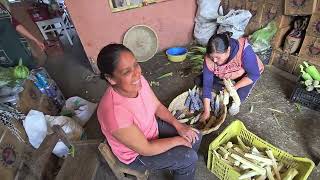 Rebanando los elotes para los uchepos en Corupo Michoacán cotidiano399 [upl. by Vassaux]