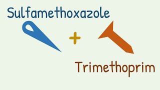 Sulfamethoxazole  Trimethoprim  Cotrimoxazole [upl. by Darcee]