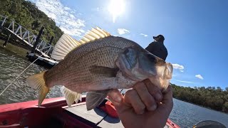 First Hawkesbury River Perch This Year Another Full Moon Episode [upl. by Oona]