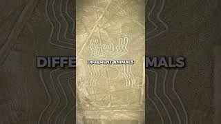 The Mystery of the Nazca Lines [upl. by Askwith258]