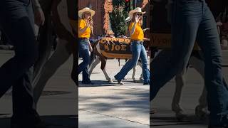 Cowboy Joe University of Wyoming Cheyenne Frontier Days Parade horses 🤠 Cowboys [upl. by Ontine906]