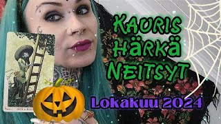 🎃🌱 MAAMERKIT Lokakuu 2024 Tikapuita Pitkin Taivaaseen 🌱🎃 [upl. by Atinomar]