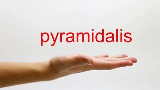 How to Pronounce pyramidalis  American English [upl. by Yvor]