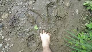 Barefoot in Mud 20240611 C4 [upl. by Astiram677]