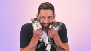 Tom Ellis The Kitten Interview [upl. by Past765]