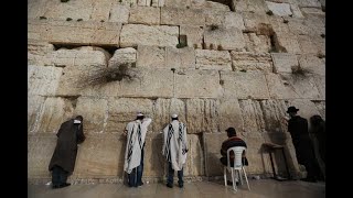 The Western Wall  Main Plaza 🔴 Live Cam 🎬  מצלמות הכותל המערבי בשידור חי  רחבת הכותל [upl. by Marve266]