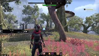 What Does Nya use  Elder Scrolls Online Addons for PvE and PvP Nightblade focus [upl. by Ahsiel365]