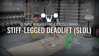 StiffLegged Deadlift SLDL  Olympic Weightlifting Exercise Library [upl. by Enitsirk]