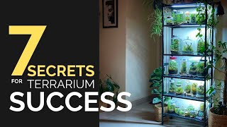 7 secrets for terrarium success [upl. by Relyc]