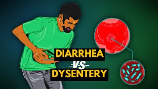 Differences between Diarrhea and Dysentery [upl. by Ettenotna434]