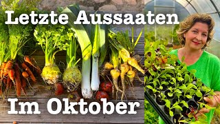 58 Der Garten im Oktober 🍂👩‍🌾 Letzte Pflanzungen Aussaaten und Vorbereitungen für den Winter 🍁 [upl. by Eiuqram]