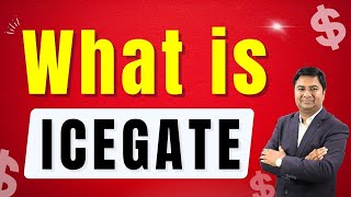 What is icegate in export import business   Icegate kya hai  DGFT  Customs [upl. by Ahtiek]