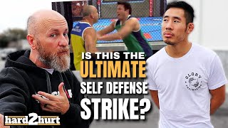 The Best Self Defense Technique for Striking First [upl. by Germin]