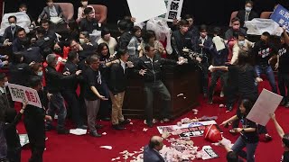 Fists and pig guts fly in Taiwan parliament [upl. by Tiedeman]