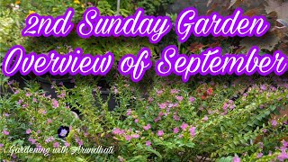 2nd Sunday Garden Overview of September gardening terracegraden [upl. by Alraep]