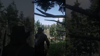 Stone Hatchet Location RDR2 shorts rdr2 reddeadredemption gaming goluckypro [upl. by Pirali]