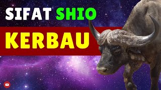 Kamu 🐂 SHIO KERBAU Simak WATAK amp SIFAT Shio Kerbau di Video ini [upl. by Narcho]