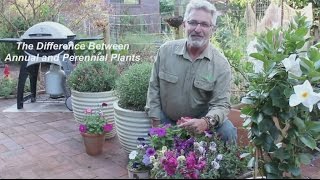 What is the Difference Between Annual and Perennial Plants [upl. by Kilam]