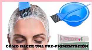 COMO REALIZAR UNA PREPIGMENTACIÓN PARA CANAS Y OSCURECER CABELLOS 🎀 sandranewlook [upl. by Par288]