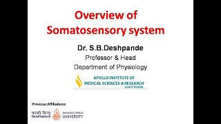 2 Somatosensory system by SBDeshpande [upl. by Smitty]