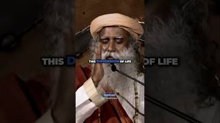 Embrace Life and DeathThe Truth of Existence  Sadhguru shorts [upl. by Arah]