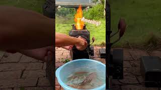 Can anything wet burn in this stoveautomobile woodstove campingstove cooking bbq wholesale [upl. by Buzz712]